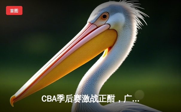 CBA季后赛激战正酣，广东宏远加时险胜辽宁本钢晋级总决赛